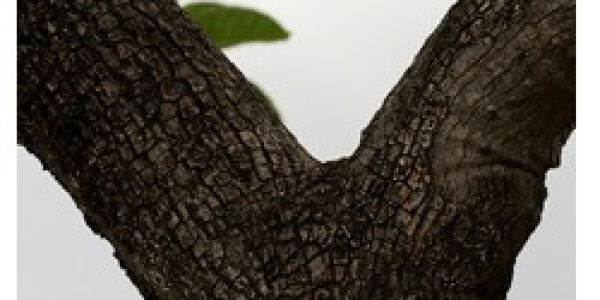 Illupai Tree Specifications