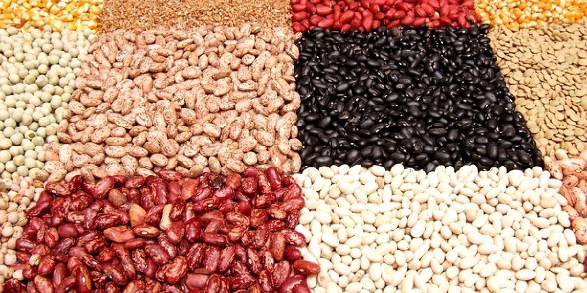 Beans Farming in Uganda