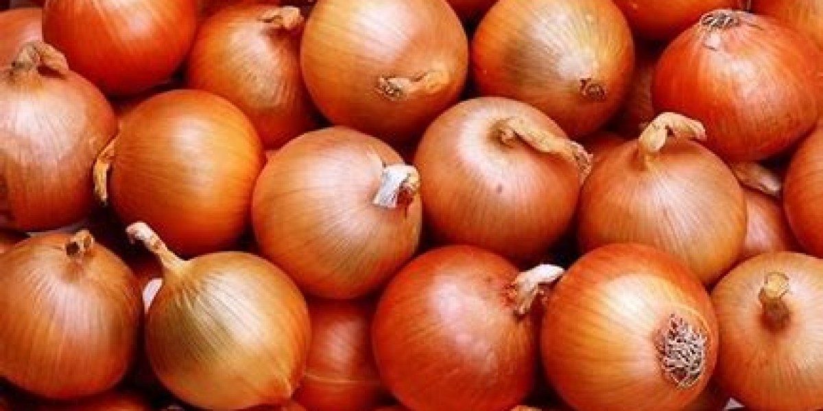 Onions growing in Uganda