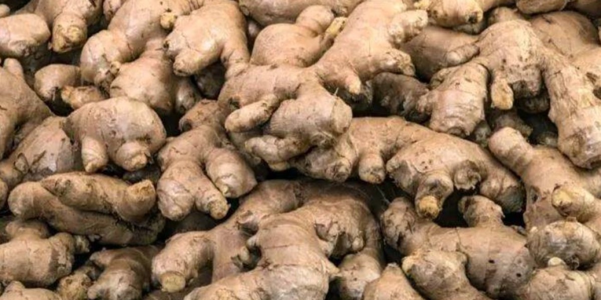 GINGER FARMING