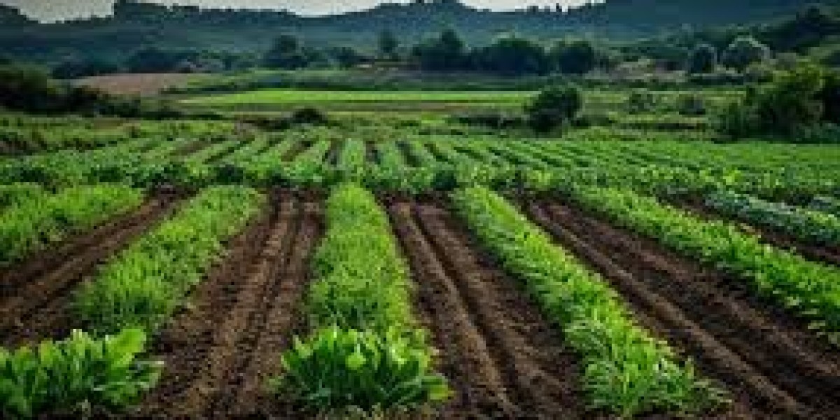 ways of Improving Subsistence Farming