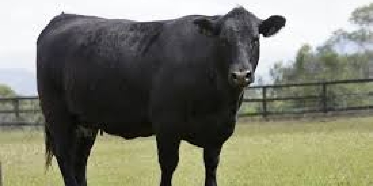 desirable qualities to consider when selecting beef cattle