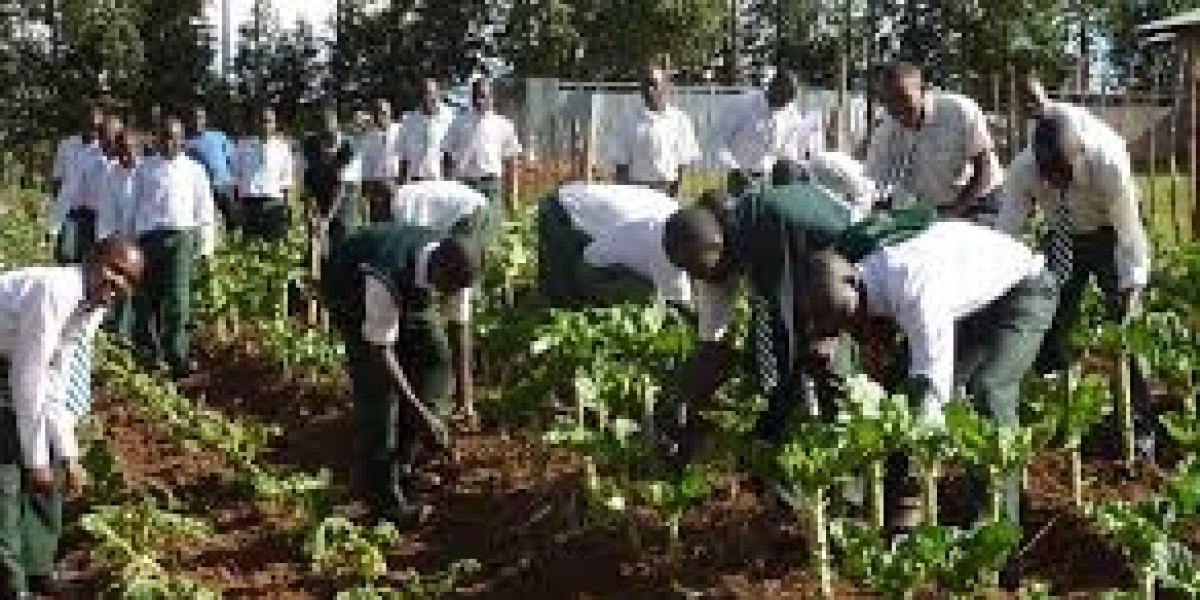 various aspects of agricultural engagement