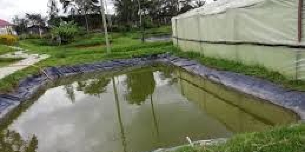 procedures to consider when constructing a fish pond