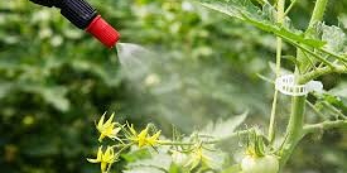 rational of spraying tomatoes regulary