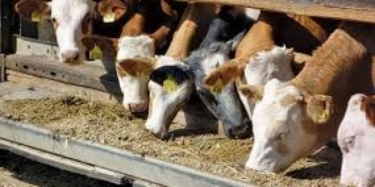 HOW TO FEED SILAGE TO LIVESTOCK