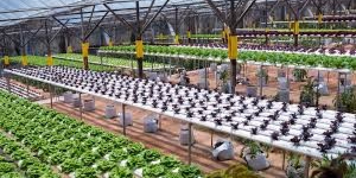 how to earn more from urban farming