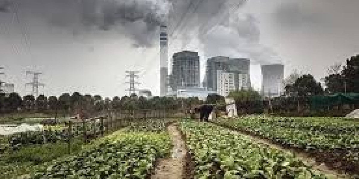 how pollution impacts on crops in garden