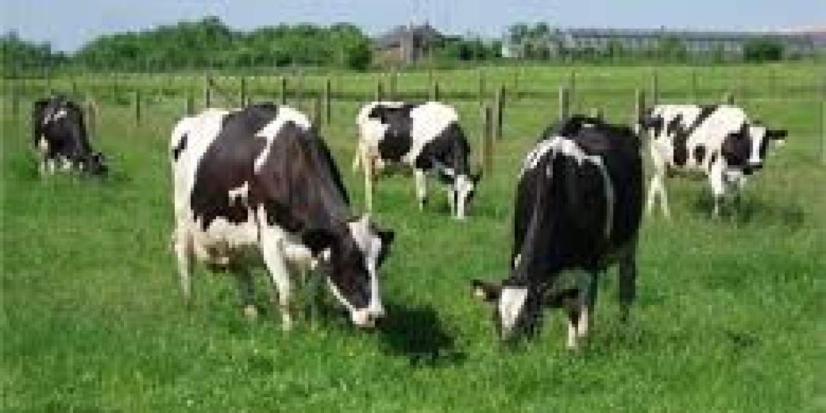 3 things to know before starting livestock farming