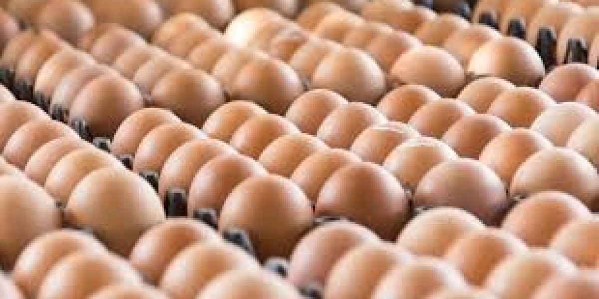 HOW TO INCREASE EGG SIZE OF EGGS LAYED