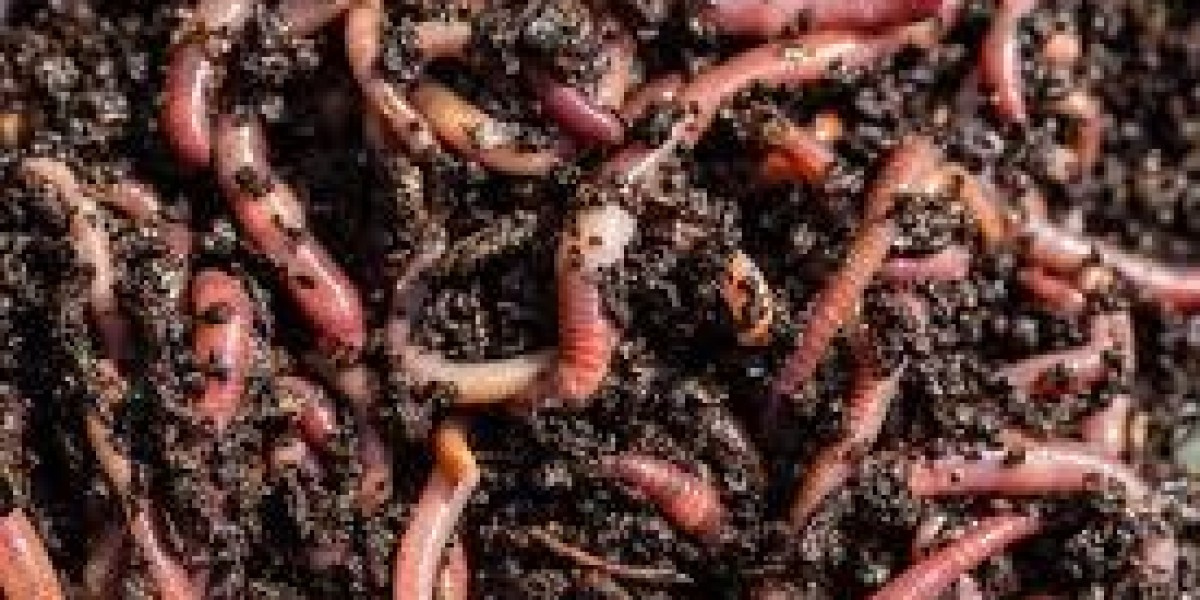 How to Start a Vermiculture Project