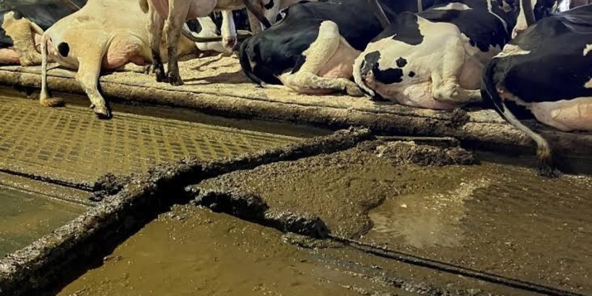 Manure treatment and utilization in production systems