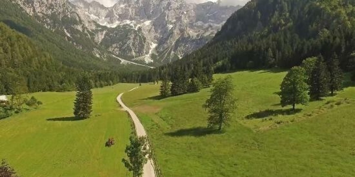 NHS: The Family They Never Had