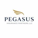 Pegasus Partners