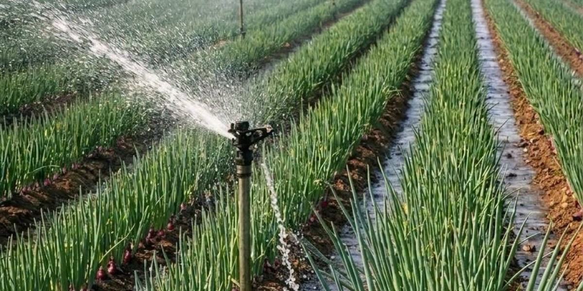 Onions Management practice